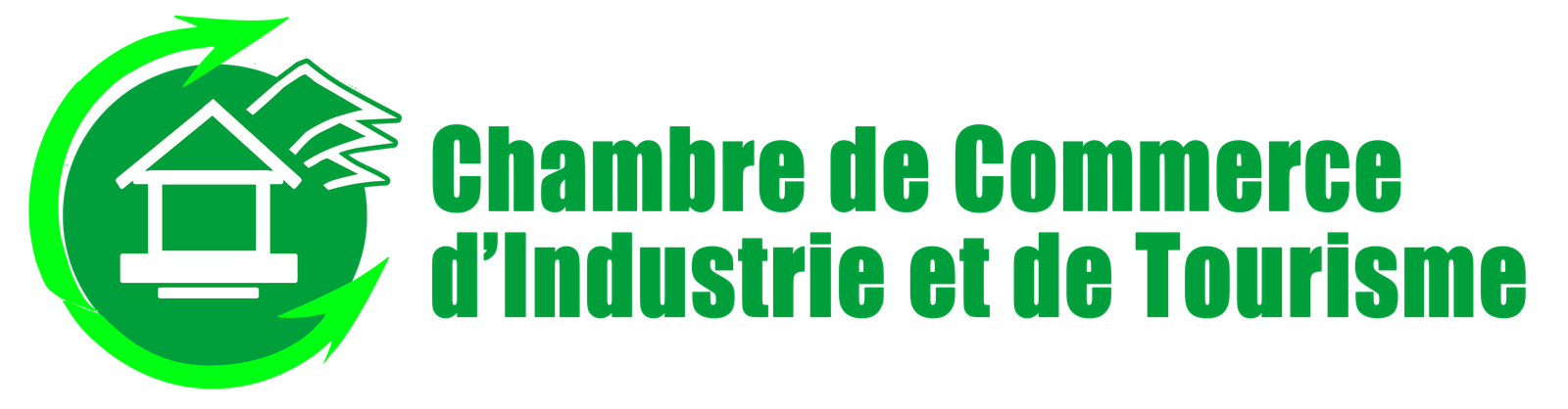 Logo CCITHAITI